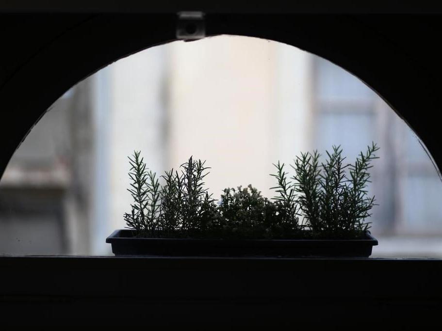 Le Relais De La Maison Bacou Carcassonne Phòng bức ảnh